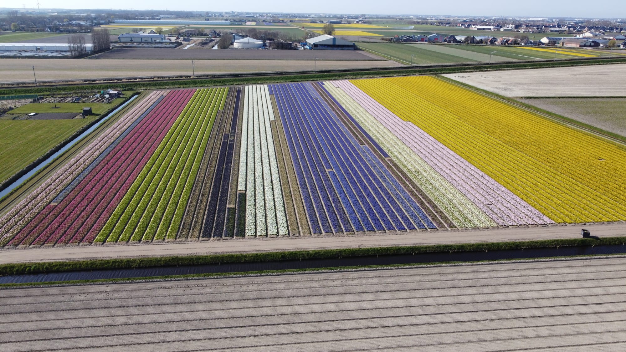 Niederlande 2025