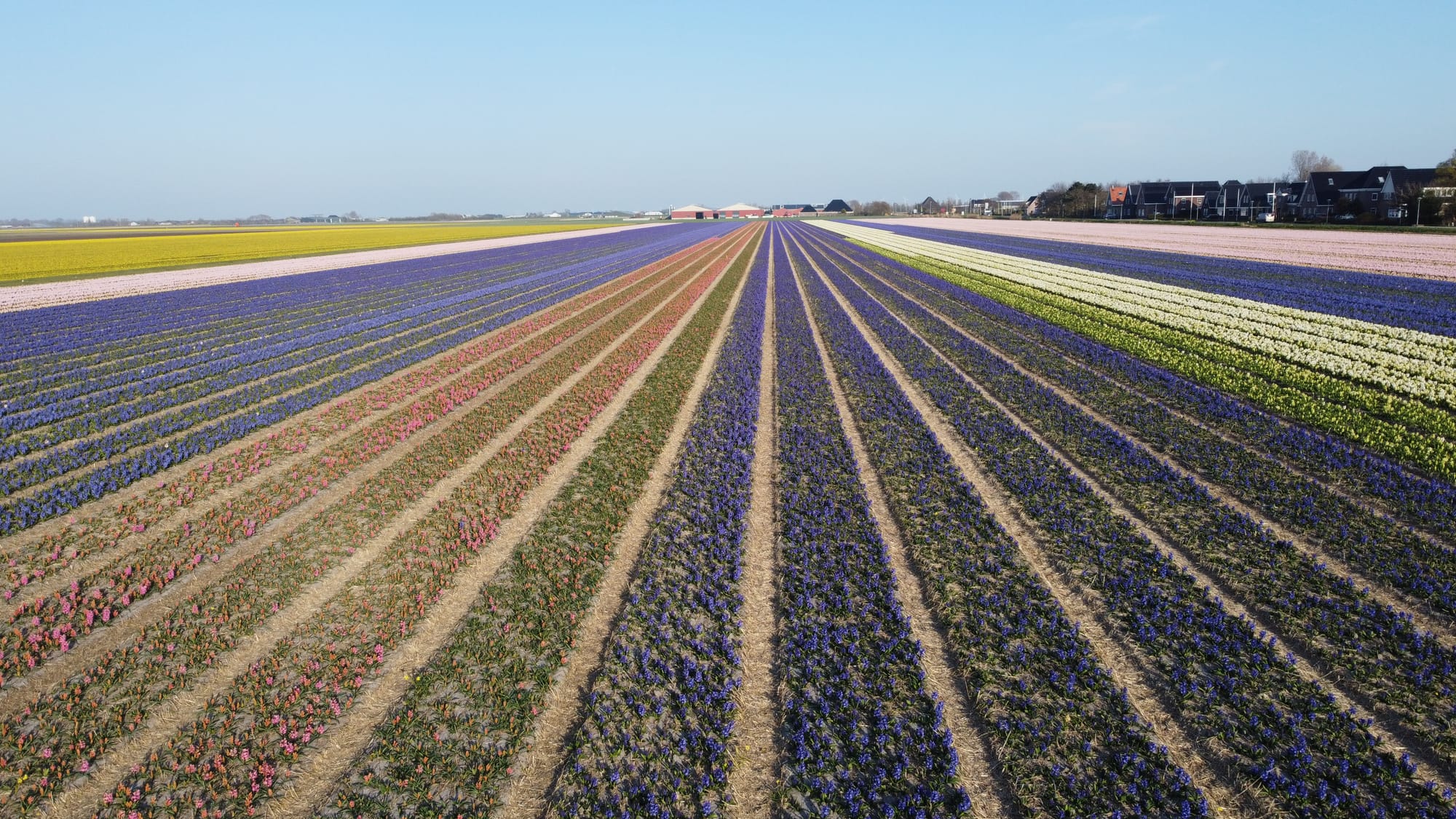 Niederlande 2025