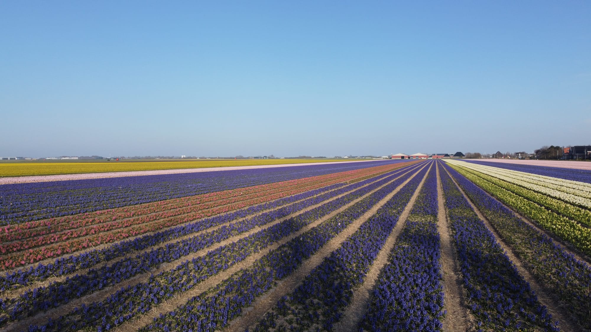 Niederlande 2025