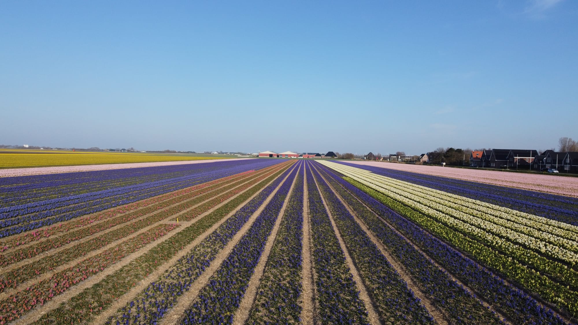 Niederlande 2025
