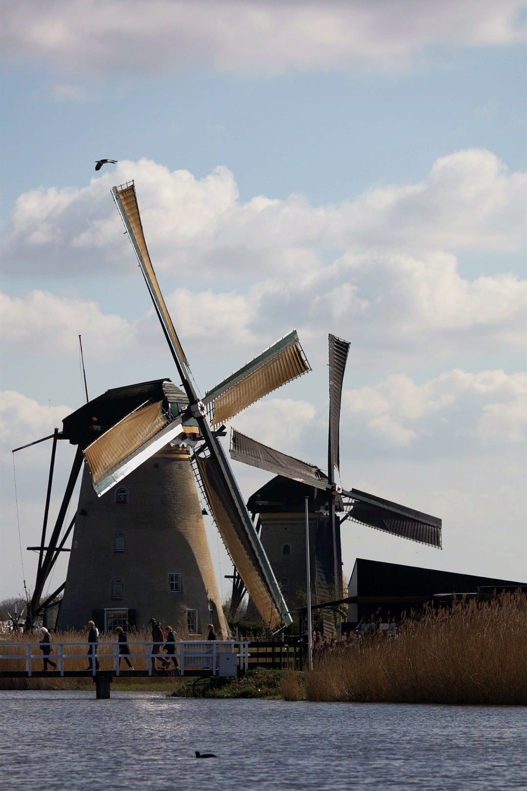 Niederlande 2025
