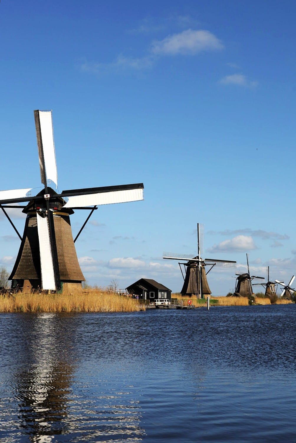 Niederlande 2025
