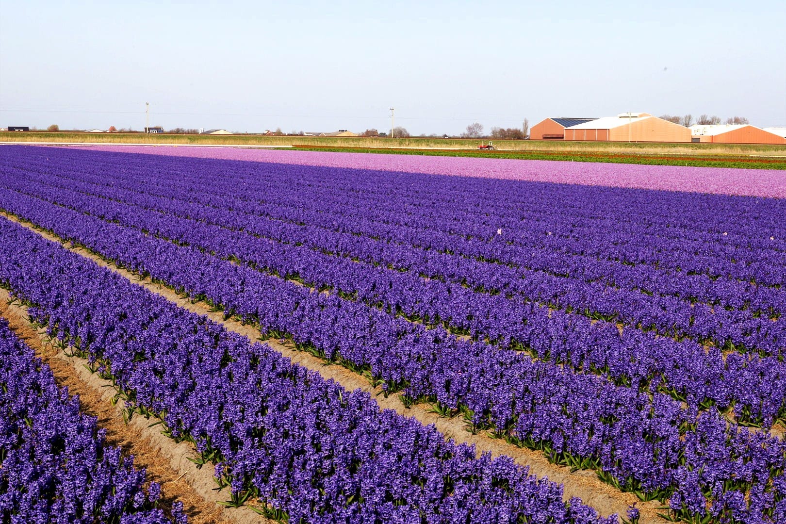 Niederlande 2025