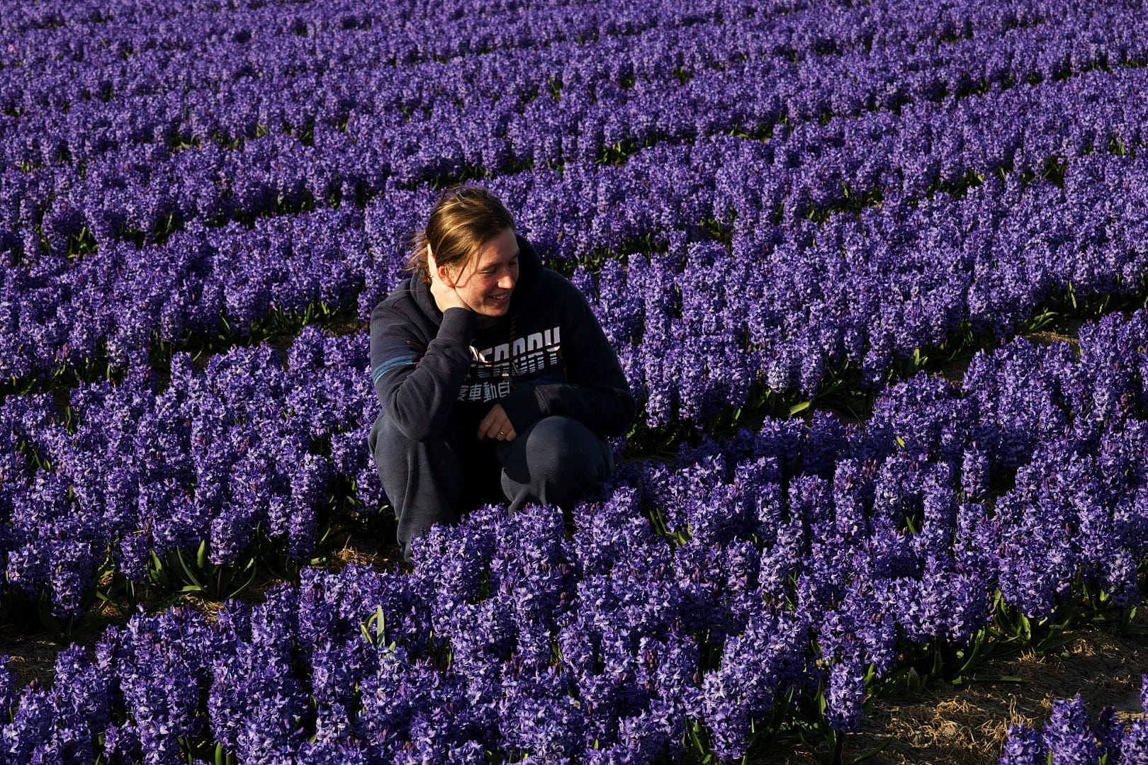 Niederlande 2025