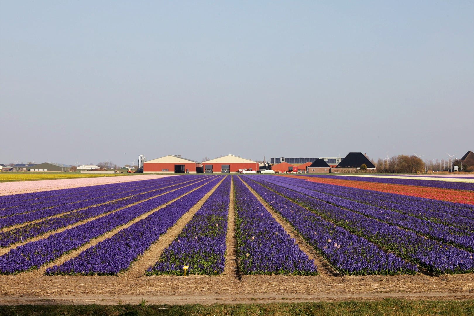 Niederlande 2025