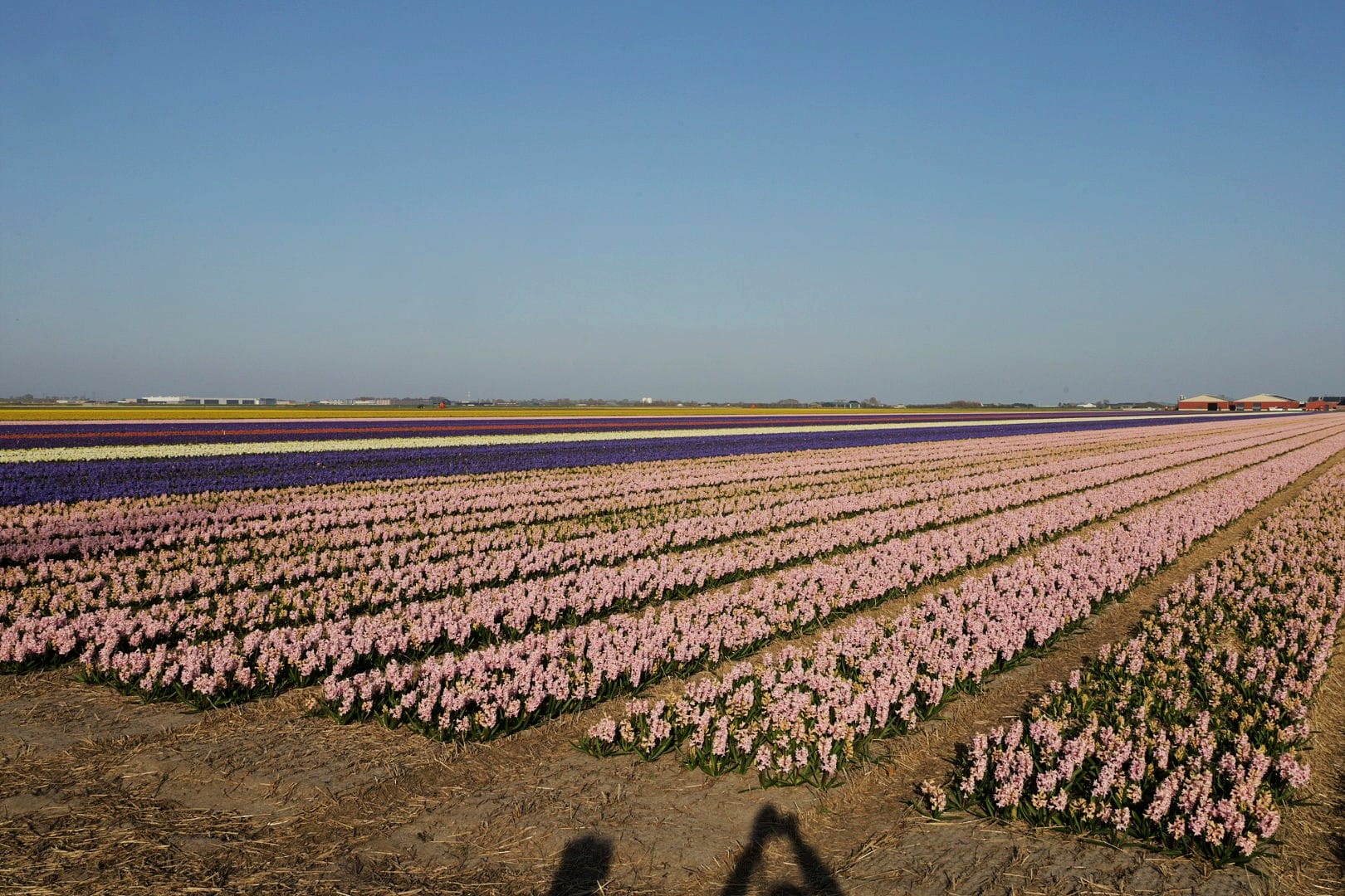 Niederlande 2025